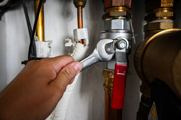 Best Plumbing Inspection Services  in Evansville, IN